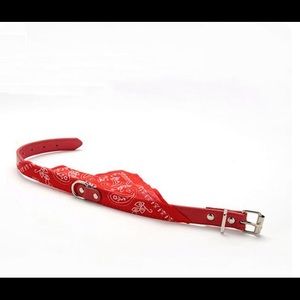 New dog bandana collar